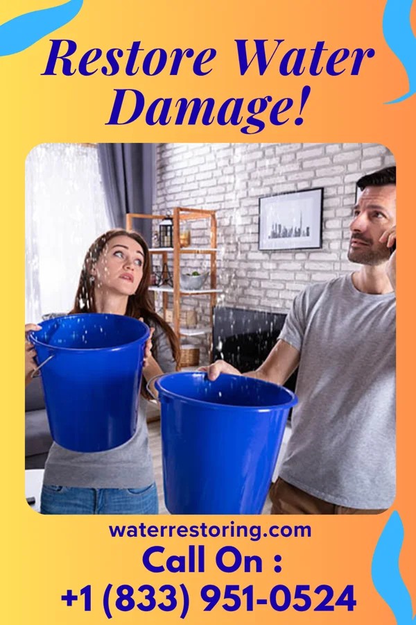 water restoration New Restoration Solutions Masters Delmont